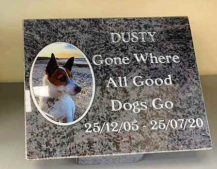 Plaque For A Dog